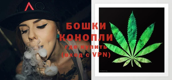 тгк Нея
