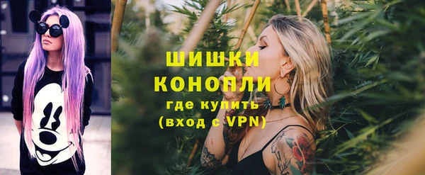 прущие грибы Ахтубинск