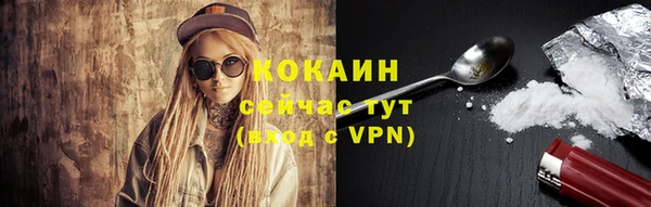 кокс Аша