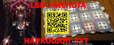 прущие крисы Берёзовский