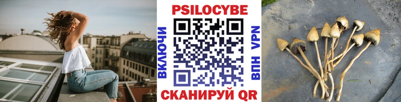 MEGA как зайти  Всеволожск  Псилоцибиновые грибы Magic Shrooms 