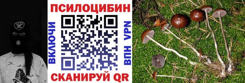 Галлюциногенные грибы Cubensis Всеволожск