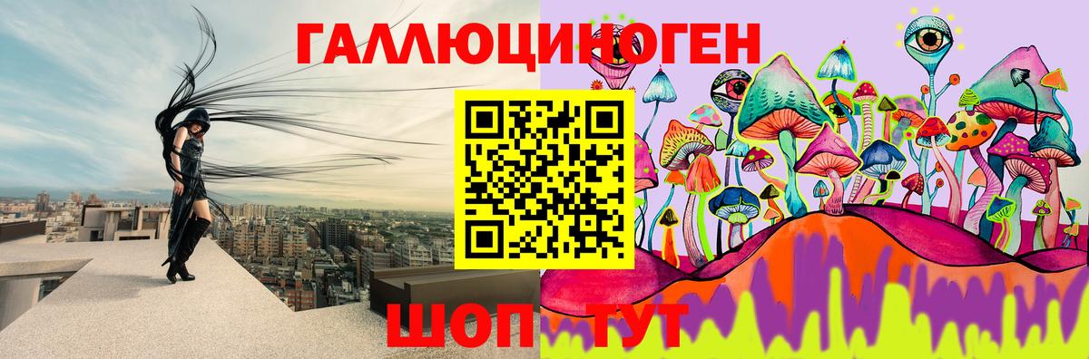 Галлюциногенные грибы Psilocybe  Всеволожск 