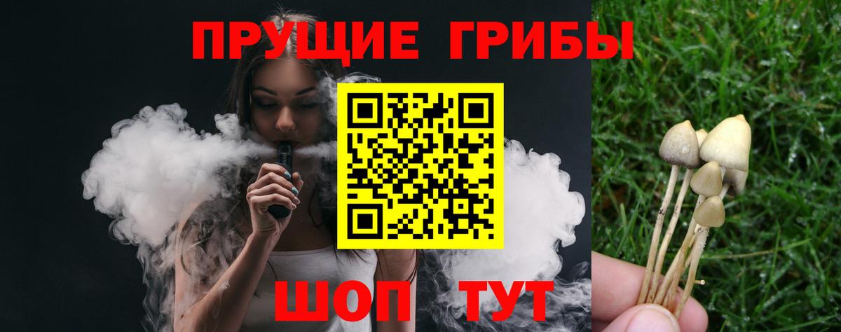 Псилоцибиновые грибы Psilocybine cubensis Всеволожск