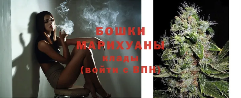 Бошки марихуана Ganja  где можно купить наркотик  Всеволожск 